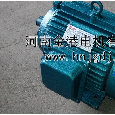 供應(yīng)金港電機(jī)Y電動(dòng)機(jī)-起重電機(jī)-金港電機(jī)