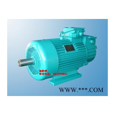起重電機(jī)及冶金用繞線轉(zhuǎn)子三相異步電動(dòng)機(jī) YZR2 280S-