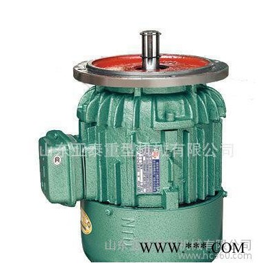 專業(yè)生產(chǎn)ZDY22-4-1.5KW起重電機(jī),電動(dòng)葫蘆運(yùn)行電機(jī),大量電機(jī)