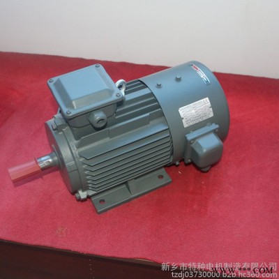 特種電機(jī) 變頻電機(jī) 振動電機(jī) YZS振動電機(jī) 變頻調(diào)速異步振動電機(jī) 直流振動電機(jī) 設(shè)備供應(yīng)