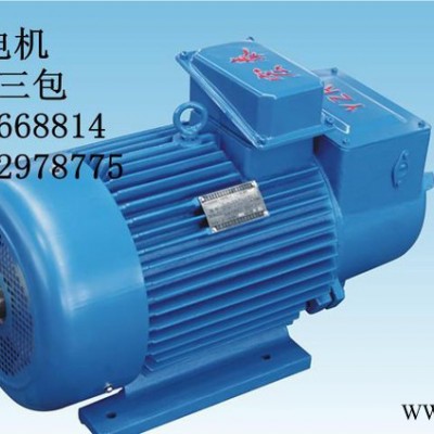 YZR280S-8 45KW三相起重電機(jī)/電動(dòng)機(jī)YZ冶金起重電機(jī)