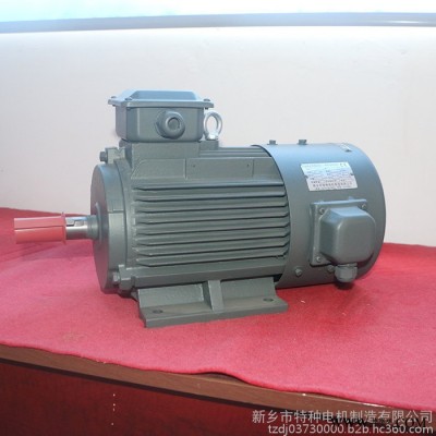 特種電機 變頻電機 振動電機 YZS振動電機 高效起重電機 **