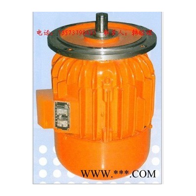 江陵機(jī)電 南京起重電機(jī)ZD32-4型 4.5KW三相異步機(jī)葫
