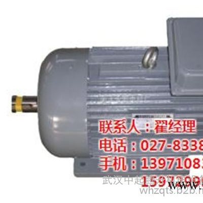 中起騰升(圖)|zdy起重電機|宜昌起重電機