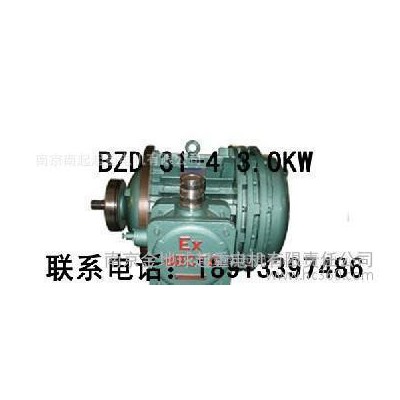 BZD 31-4 3.0KW  防爆錐形電機(jī) 隔爆型電機(jī) 南京起重電機(jī)總廠電機(jī)