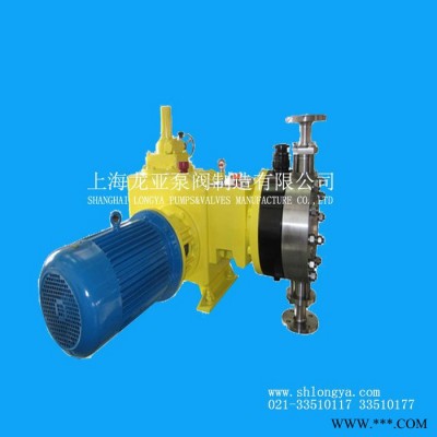 上海步進(jìn)電機(jī)蠕動泵，65-170ml/min