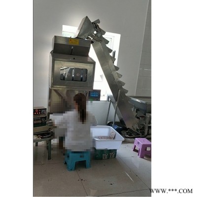 全自動粉劑包裝機 顆粒包裝機 食品 多功能自動包裝機  計量自動包裝機  伺服電機包裝機 全自動粉劑包裝機