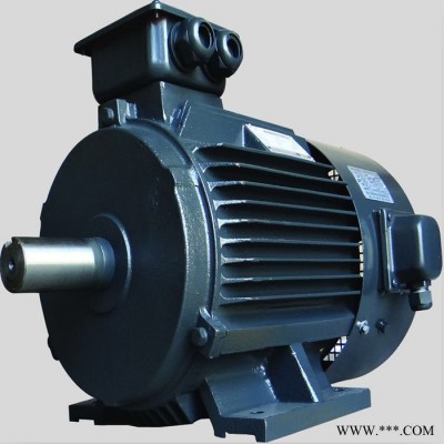 特種電機(jī) 振動電機(jī)，變頻電機(jī)