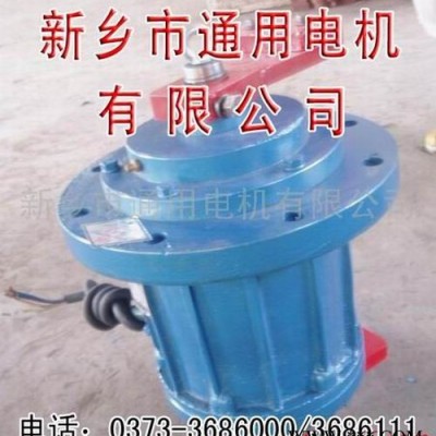 供應(yīng)振動光飾機專用 振動電機