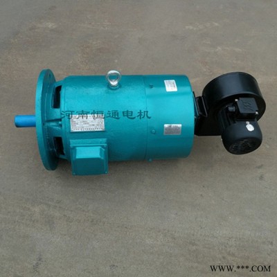 千業(yè)牌 上海振動電機 力矩電機 專業(yè)改造進口非標電動機定做 質量三包