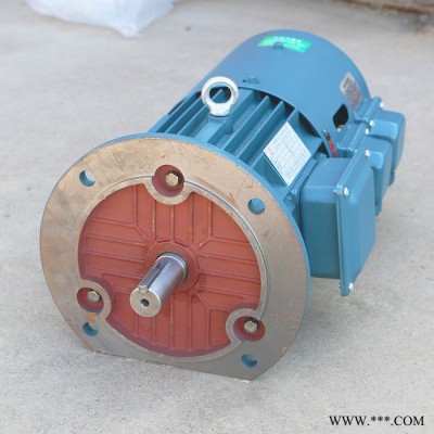 千業(yè) 力矩電機(jī) YLEJF112-4/6 力矩電機(jī)選型公式 廣州力矩電機(jī)