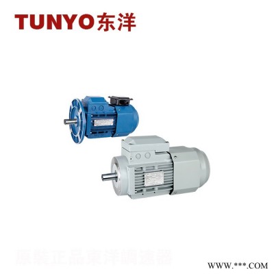 東洋_變頻器_變頻電機(jī)
