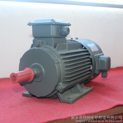 特種電機 變頻電機 振動電機 YZS振動電機 節(jié)能變頻電機推薦制造