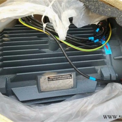 2106080036復(fù)盛變頻電機