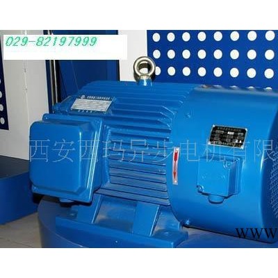 西瑪變頻電機(jī)YJTG355L-10