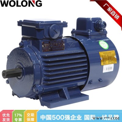 WOLONG/臥龍 BPY系列變頻調(diào)速三相異步電動(dòng)機(jī)機(jī)械設(shè)備用電機(jī) 風(fēng)扇電機(jī)  4極11KW~55KW變頻電機(jī)