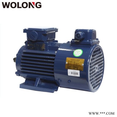 WOLONG/臥龍 BPY系列變頻調(diào)速三相異步電動(dòng)機(jī)機(jī)械設(shè)備用電機(jī) 風(fēng)扇電機(jī)  4極0.75KW~7.5KW變頻電機(jī)