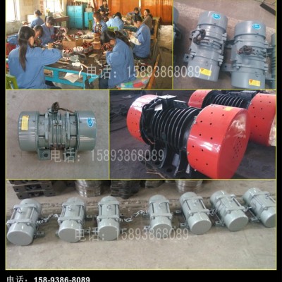 益陽(yáng) TZD21-4C振動(dòng)電機(jī) 高信譽(yù)高質(zhì)量有保障