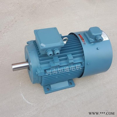 千業(yè)牌 變頻電機(jī)帶編碼器 水下用潛水電動機(jī) 水冷電機(jī) 定做特種馬達(dá) 質(zhì)量好
