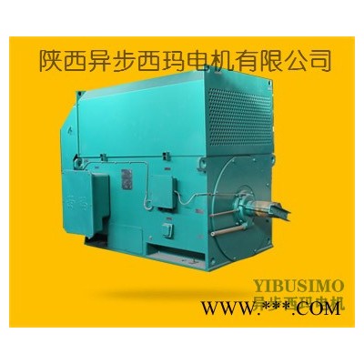 原西安電機(jī)廠 YJTKK4503-2/630KW/6000V/B3臥式安裝/F級絕緣 變頻電機(jī)