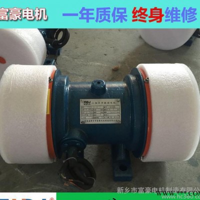 直銷XVM-8-2振動電機0.75KW功率一年質(zhì)保終身維修