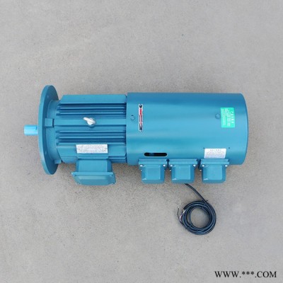 千業(yè)牌 空心軸 不銹鋼軸變頻電機(jī)加制動器 YVPEJ112M-4 電磁制動變頻電動機(jī) 質(zhì)量穩(wěn)定