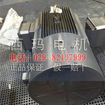 YVFE3-355L1-6 220KW 401A IP55 高效變頻電機(jī) 可根據(jù)要求定制