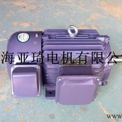 正宗YVF高速變頻電機(jī) 上海工廠現(xiàn)貨