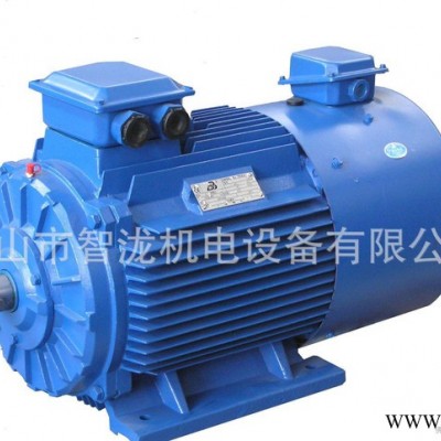 變頻電機