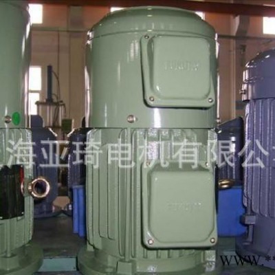 變頻電機(jī) 高速變頻電機(jī) 高速變頻調(diào)速電機(jī) 10000轉(zhuǎn)以上可調(diào)