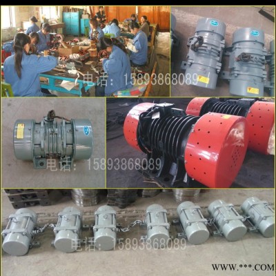 益陽(yáng) TZD21-4C振動(dòng)電機(jī) 高信譽(yù)高質(zhì)量有保障