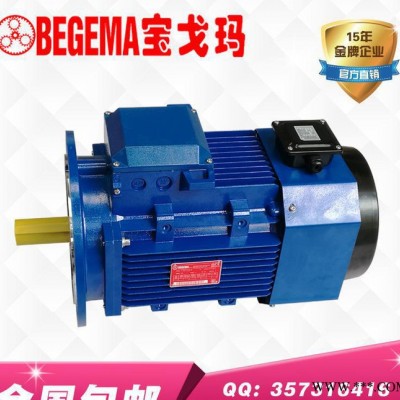專業(yè)訂做美國(guó)標(biāo)準(zhǔn)480V電壓60HZ頻率YVP變頻電機(jī)5.5kw