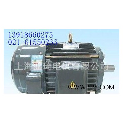 TECO變頻電機(jī) 東元變頻電動(dòng)機(jī) TECO變頻馬達(dá) 現(xiàn)貨 TECO馬達(dá)