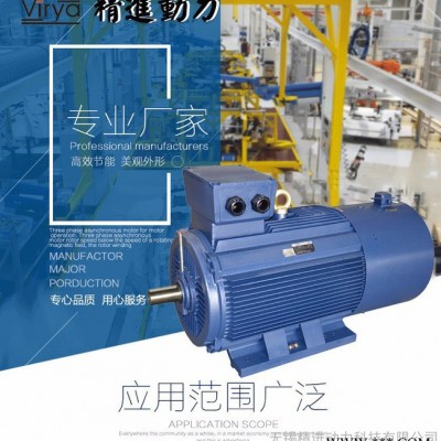 Virya/精進 變頻電機 節(jié)能調(diào)速變頻電動機