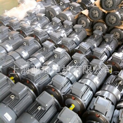 SIEMENS電機(jī) 西門子電動(dòng)機(jī) 西門子變頻電機(jī)1LE0002系列