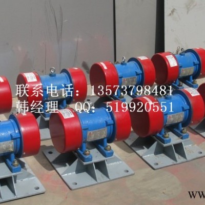ZW附著式平板振動(dòng)器 單相混凝土振動(dòng)器 220V振動(dòng)電機(jī) 三