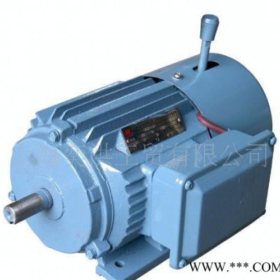 上海YPT系列變頻電機(jī) YPT/YVPEJ/YVP315L2