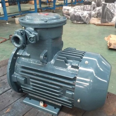 防爆電機(jī)廠(chǎng)家-高原YB3-15KW(G)防爆電機(jī)