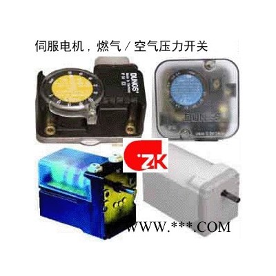 供應(yīng)西門子Siemens西門子伺服電機(jī)SQM10.16562
