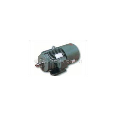 交流變頻電機(jī) 直流電機(jī) 減速電機(jī)博山龍康電機(jī)