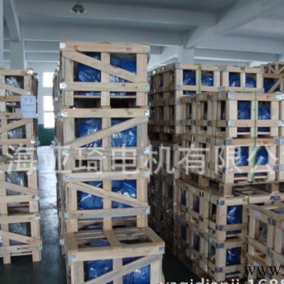55KW2極4極6極變頻電機(jī) YP/YVP/YVF/YVF2高轉(zhuǎn)速正宗變頻電動機(jī)