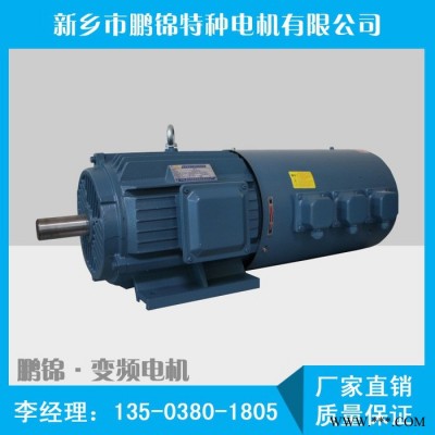 鵬錦 變頻電機YVPEJP132M-4-7.5KW