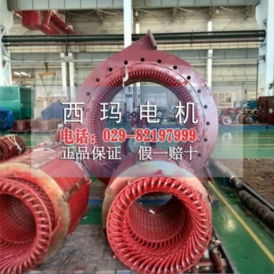 YB2-5005-4 900KW 10KV中型高壓防爆電機(jī)
