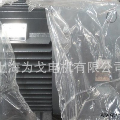55KW貝得專業(yè)變頻電機(jī)YVF2系列,75KW,90KW,110KW,132KW-2P/4P/6