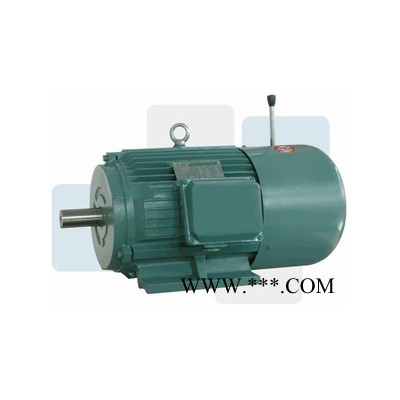 江蘇貝得YVF2系列變頻電機 三相異步變頻電機 貨期穩(wěn)定