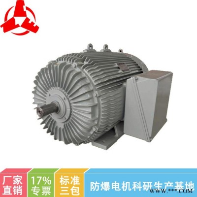 南陽(yáng)防爆 YXn系列高效率 三相異步電動(dòng)機(jī) 防爆電機(jī) 4極電機(jī)