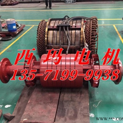 YB2-5002-6 630KW 6KV IP54 ExdⅡBT4 Gb隔爆型防爆電機