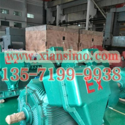YB2-5003-8 500KW 6KV IP54 ExdⅡBT4 Gb隔爆型防爆電機