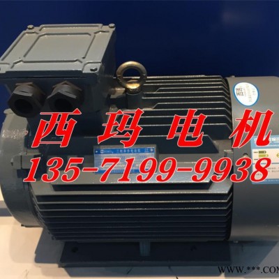西瑪防爆電機(jī)YBX2-4503-2 630KW 6000V節(jié)能防爆電機(jī)