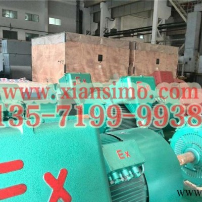 YB2-5002-8 450KW 6KV IP54 ExdⅡBT4 Gb隔爆型防爆電機